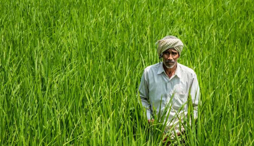 इस माह के प्रमुख कृषि कार्य